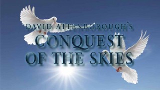 Покорение небес Дэвида Аттенборо