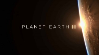 Планета Земля 2 сезон
