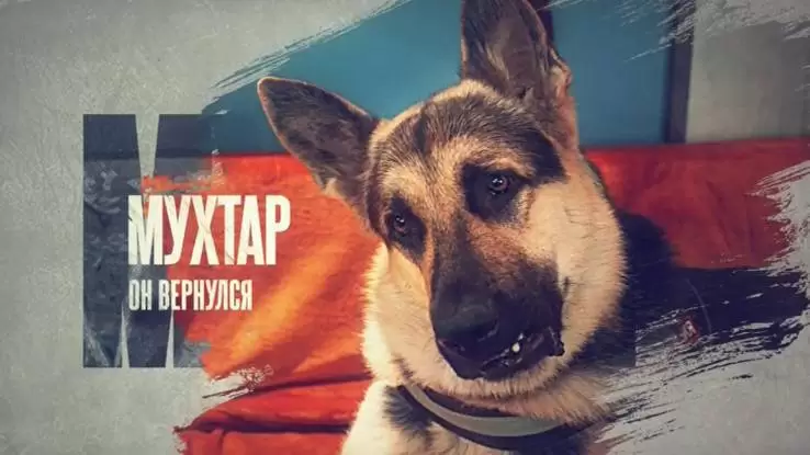 Мухтар Он вернулся 15, 16, 17 серия 10.01.2026