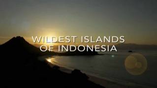 Дикая природа Индонезии