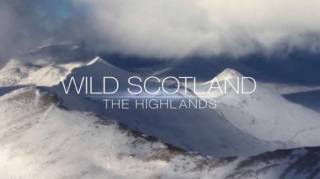 Дикая природа Шотландии: Высокогорье 2 сезон
