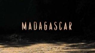 Мадагаскар: Земля, где эволюция шла своим путём