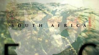 Дикая природа Южной Африки