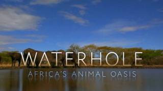 Водопой: Африканский Оазис для Животных