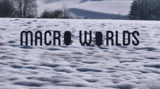 Макромиры / Macro Worlds (2017)