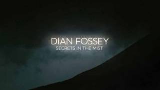 Дайан Фосси: Секреты в тумане