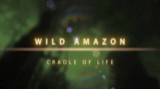 Дикая природа Амазонки / Wild Amazon (2010)