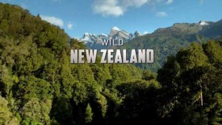 Дикая природа Новой Зеландии