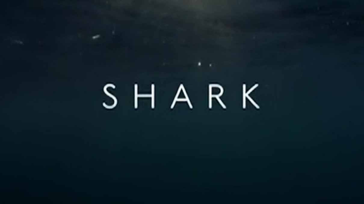 Вся правда об акулах 1 серия / Shark (2015)