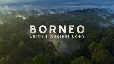 Борнео. Древний рай на Земле / Древний остров Борнео / Borneo – Earth’s Ancient Eden (2019)