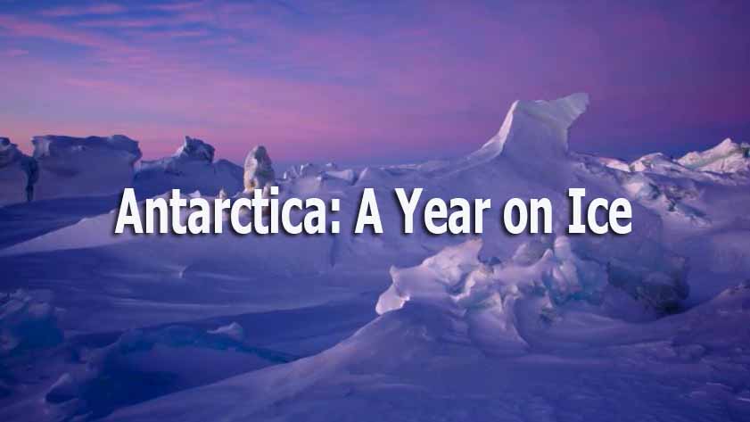 Антарктида: Год на льду / Antarctica: A Year on Ice (2013)