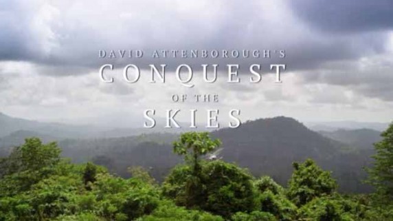 Покорение небес Дэвида Аттенборо 2 серия. Соперники / David Attenborough's Conquest of the Skies (20