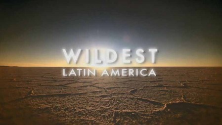 Дикая Латинская Америка 2 серия. Анды. Мир в облаках / Wildest Latin America (2012)