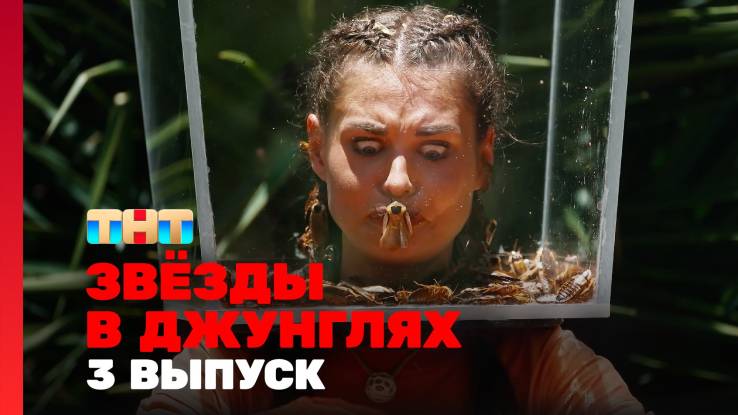 Звёзды в джунглях 2 сезон 3 выпуск 12.10.2025
