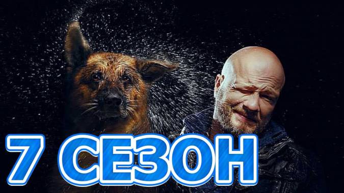 Пес 7 сезон (все серии) 2021 смотреть онлайн