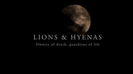 Львы и гиены: хозяева смерти, хранители жизни (2020)
