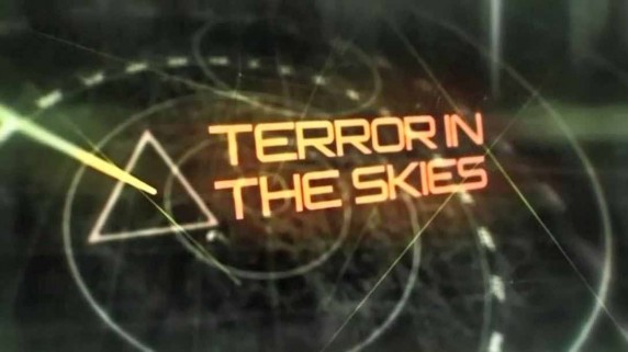 Ужас в небесах. Ошибка пилота / Terror in the Skies (2013)