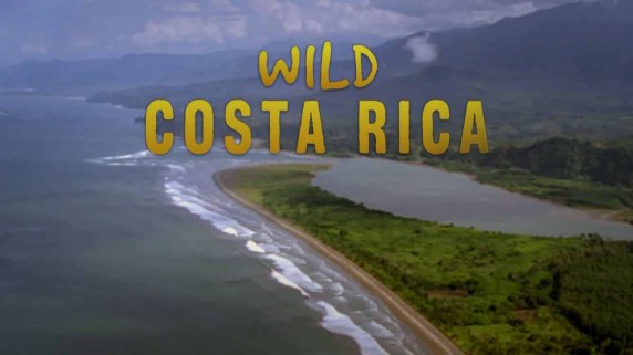 Дикая Коста-Рика / Wild Costa Rica (2000)
