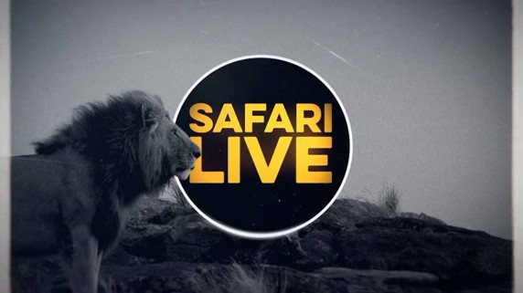 Сафари в прямом эфире: Миграция 1 серия / Safari Life (2019)