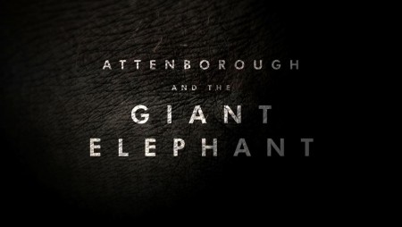 Аттенборо и Гигантский Слон / Attenborough and the Giant Elephant (2017)