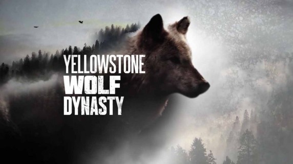 Волчья династия Йеллоустоуна: Битва за Волчью долину / Yellowstone Wolf Dynasty (2018)
