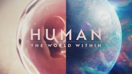 Человеческое тело: мир внутри (все серии) / Human: The World Within (2021)