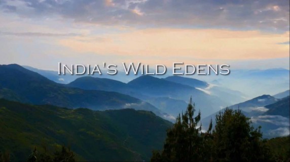 Дикий рай Индии / India's Wild Edens (2016)