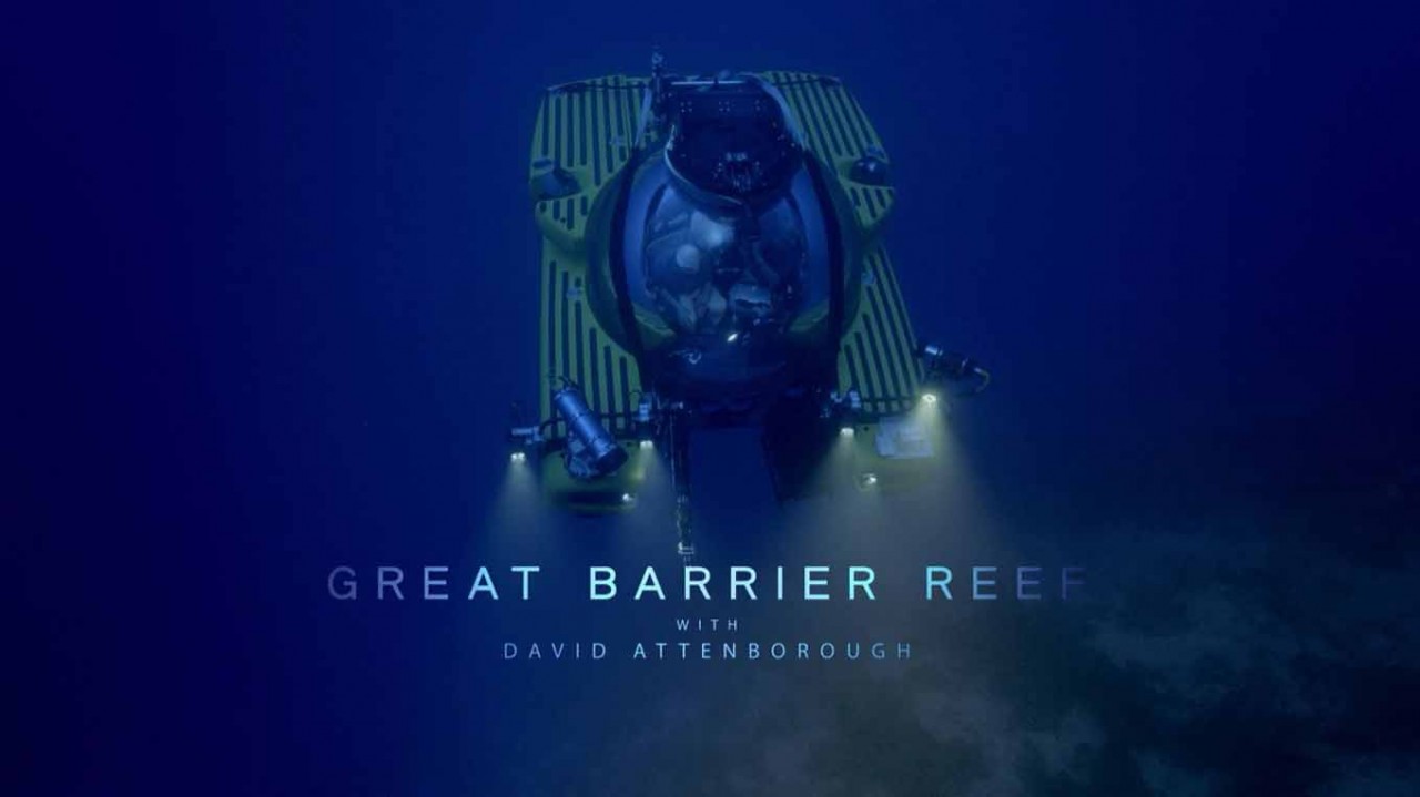 Большой Барьерный риф с Дэвидом Аттенборо 3 серия. Выживание / Great Barrier Reef with David Attenbo