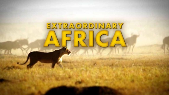 Невероятная Африка. Последний лес / Extraordinary Africa. The Last Forest (2011)