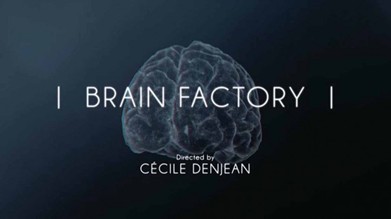 Brain factory. Завод мозгов. Мозговой про фабрику звёзд.