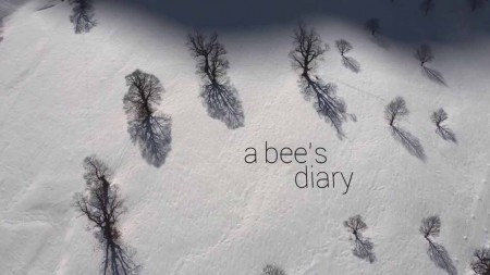 Жизнь пчелы / A Bee's Diary (2020)