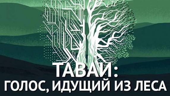 Таваи: голос, идущий из леса 1 часть / Tawai: A Voice from the Forest (2017)