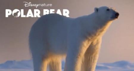 Полярный медведь / Polar Bear (2022)