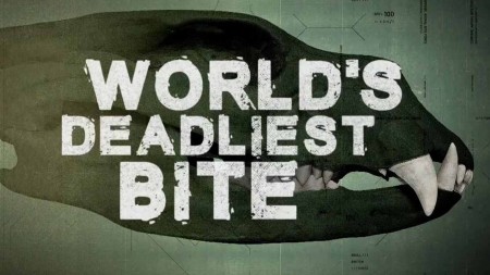 Самые мощные челюсти / World's Deadliest Bite (2021)