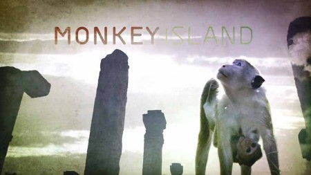 Остров обезьян 01 серия. История матери / Monkey Island (2019)