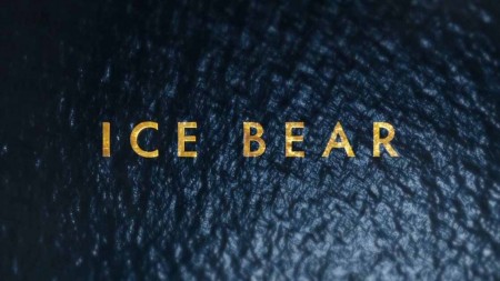 Полярный медведь / Ice Bear (2012)