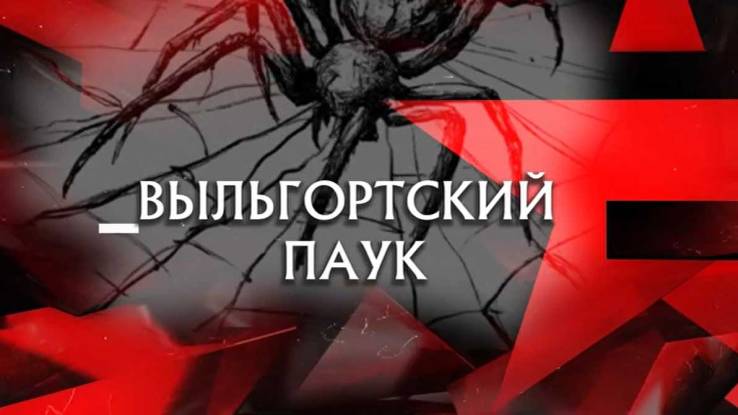 Выльгортский паук Следствие вели 06.09.2025