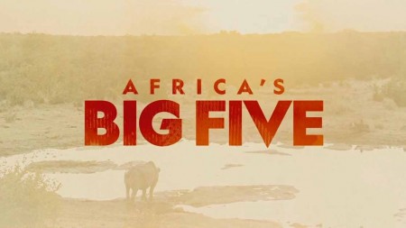 Большая пятерка Африки / Africa's Big Five (2020)