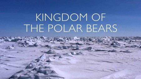 Королевство белых медведей 1 серия. Клан Севера / Kingdom of the Polar Bears (2021)