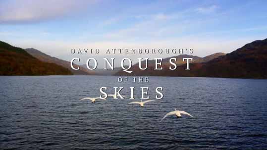 Покорение небес Дэвида Аттенборо 1 серия. Первые летающие / David Attenborough's Conquest of the Ski