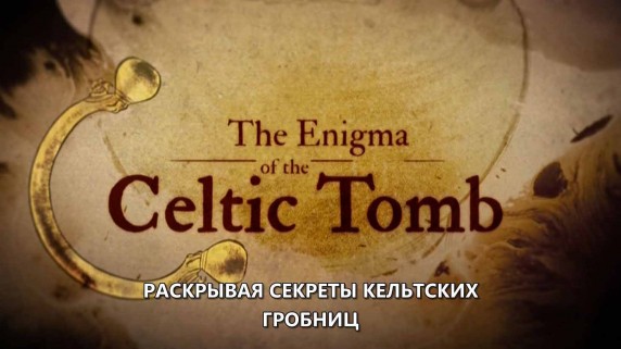 Раскрывая секреты кельтских гробниц / L'Enigme de la Tombe Celte (2017)