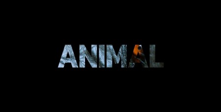 Удивительные животные 1 сезон (все серии) / Animal (2021)