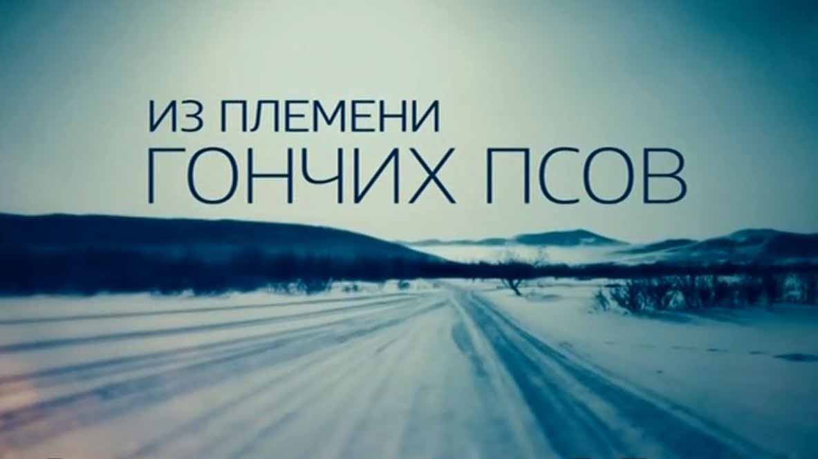 Из племени гончих псов (2017)