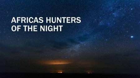 Африканские ночные охотники / Africa's Hunters of the Night (2020)