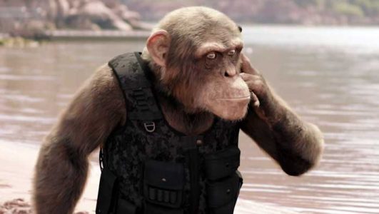 Шимпанзе под прикрытием 2022 фильм