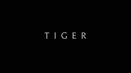 Тайгер 1 серия / Tiger (2020)