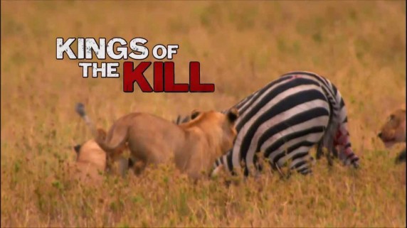 Короли убийства / Kings of the Kill (2017)