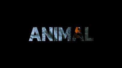 Удивительные животные 2 сезон 3 серия. Медведи / Animal (2022)