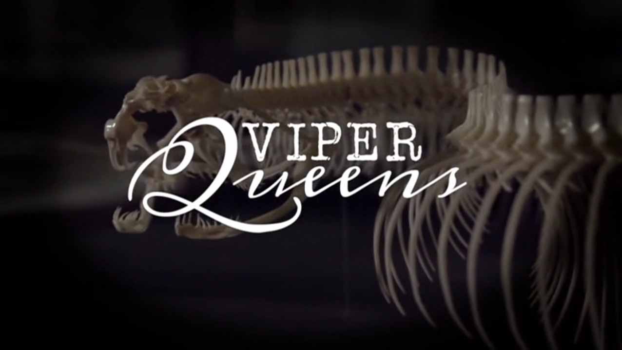 Королевы гадюк / Viper Queens (2016)