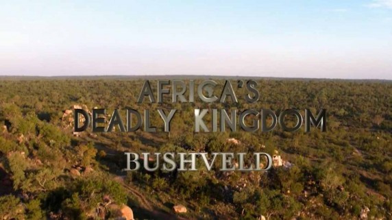 Смертоносная Африка. Саванна / Africa's Deadly Kingdom (2018)